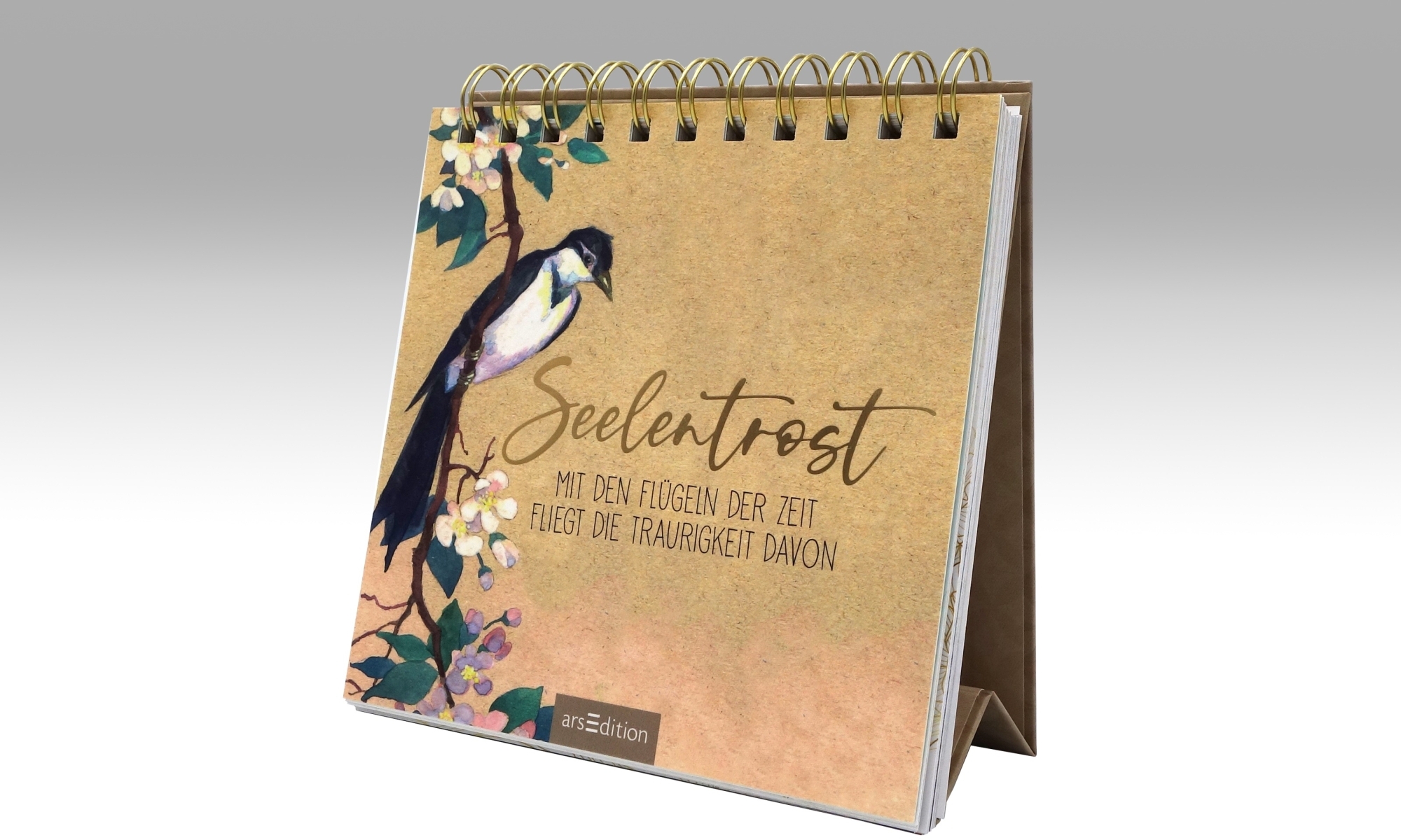 153622 Seelentrost 1