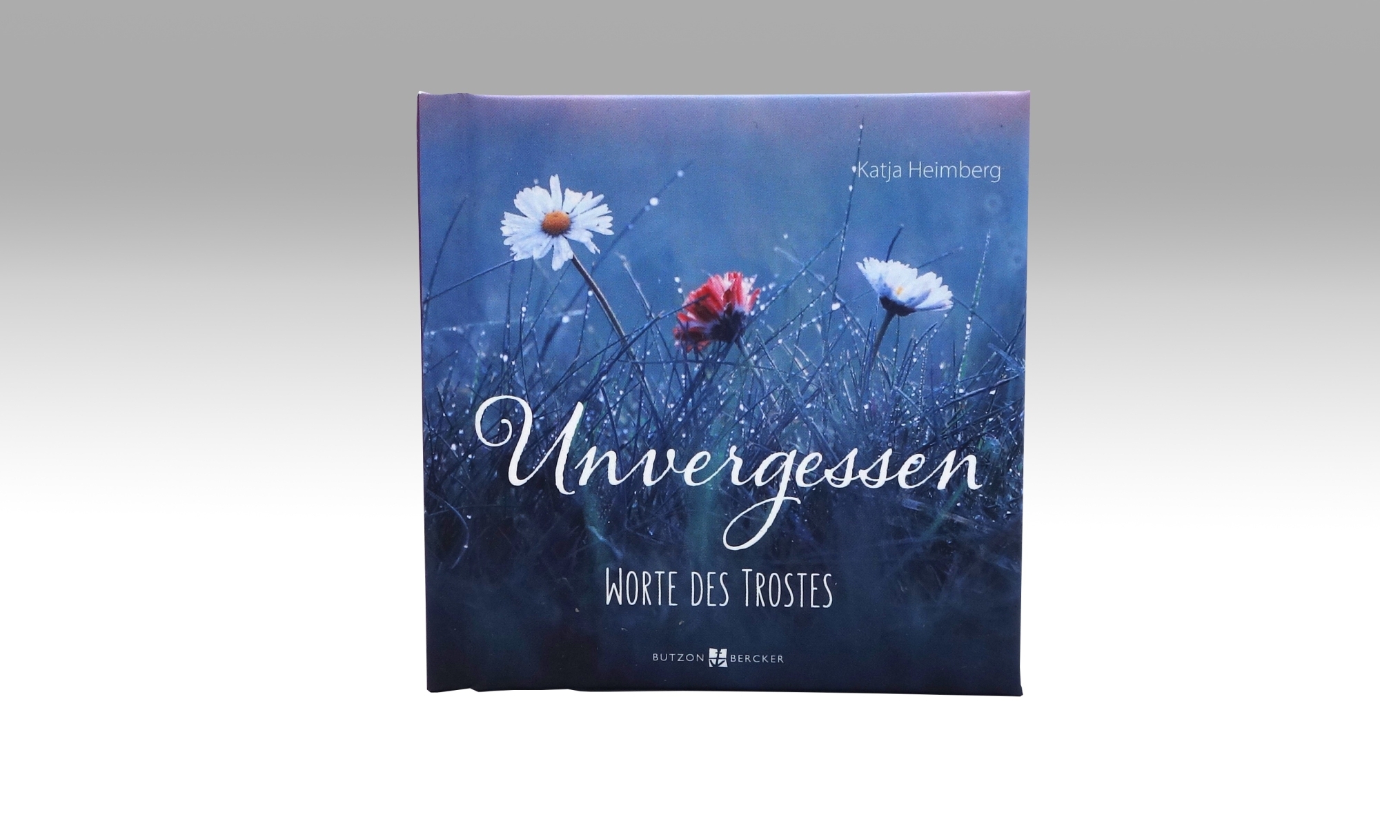 153988 Unvergessen2