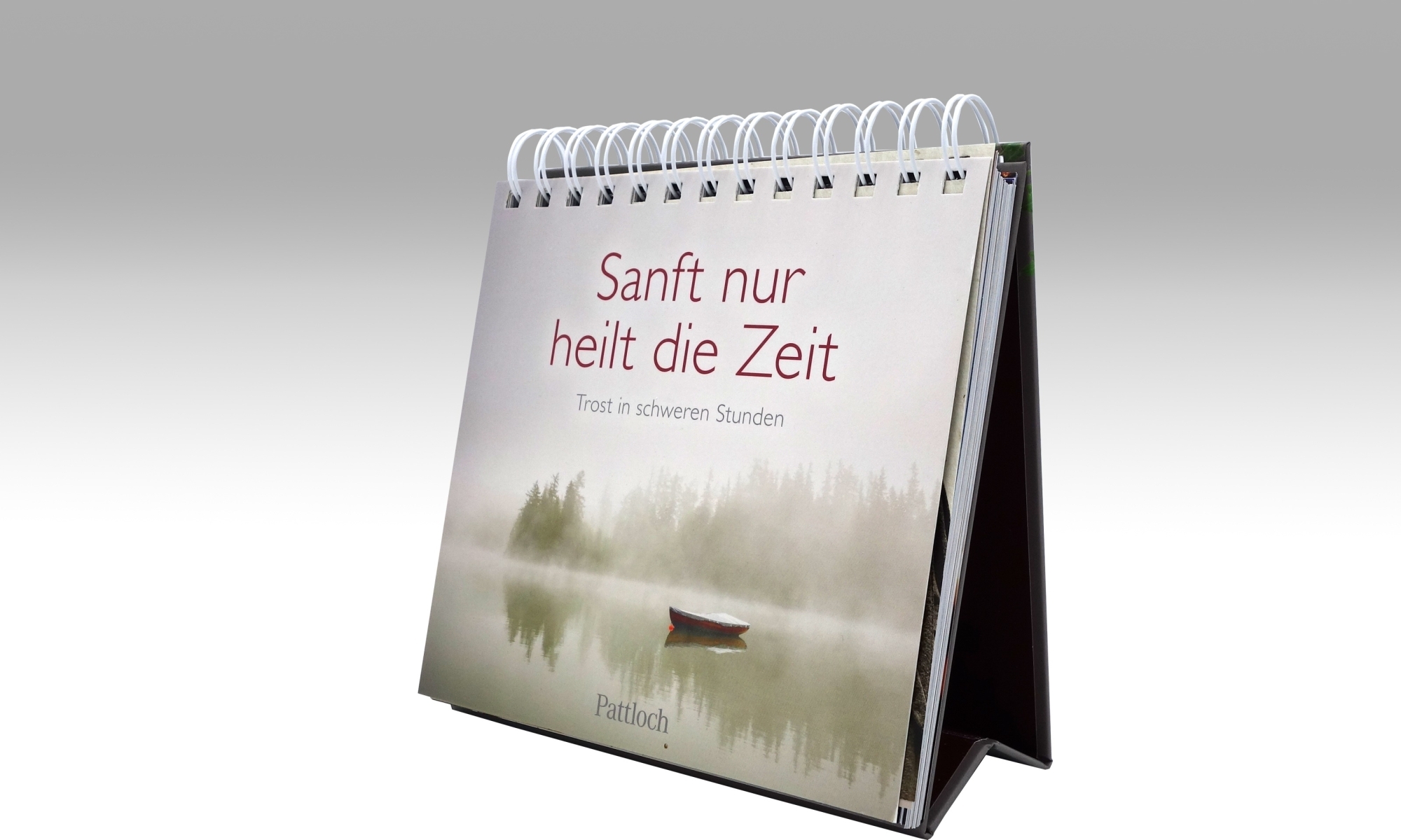 800536 Sanft nur heilt die Zeit1
