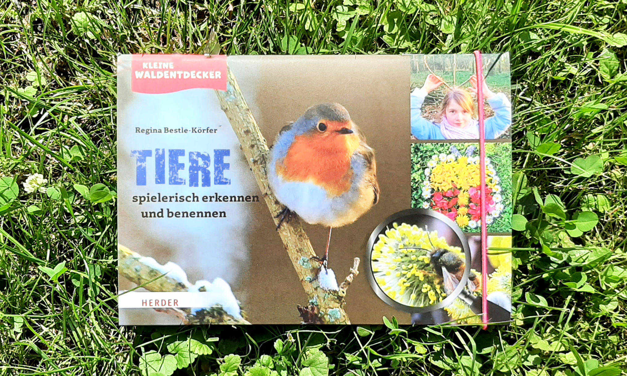 Tiere1