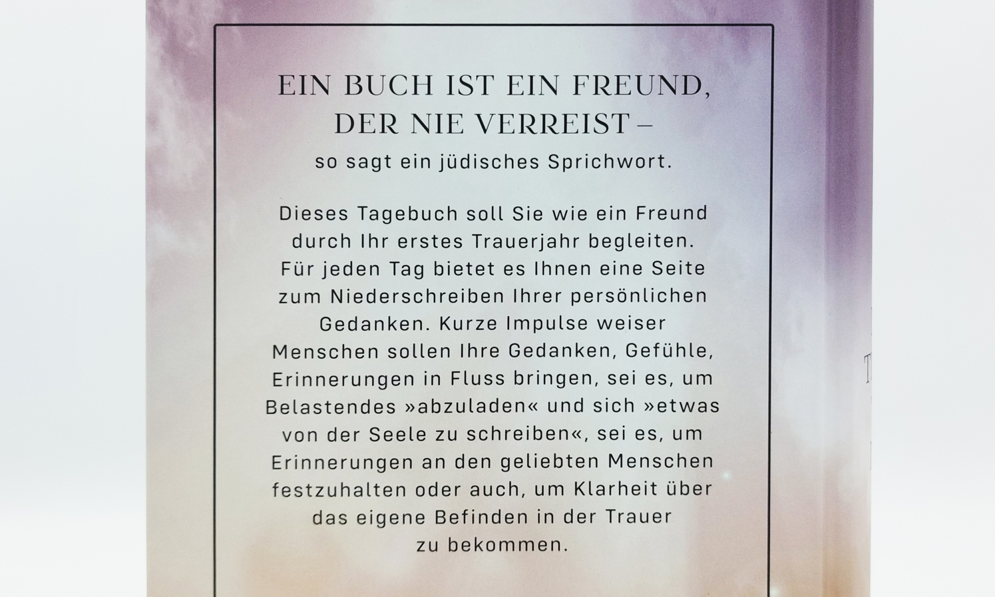 Trauertagebuch5