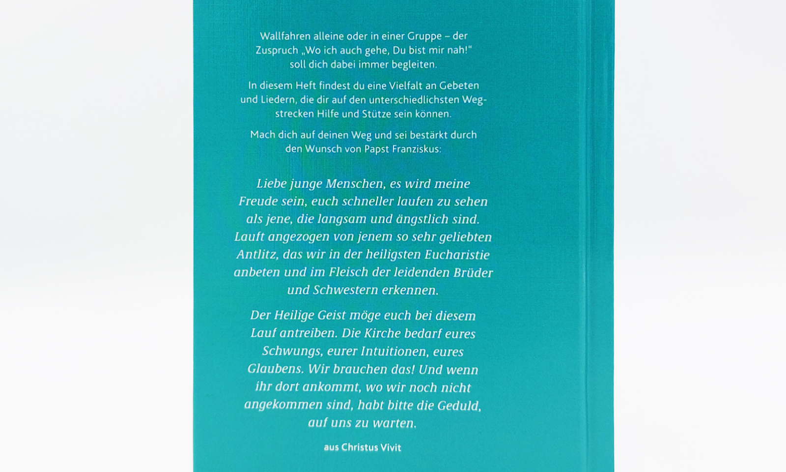 Wallfahrtsbuch3
